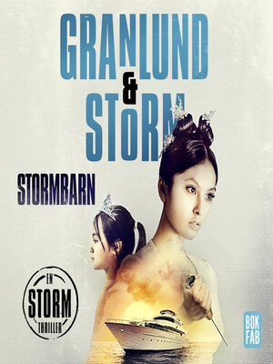 cover image of Stormbarn